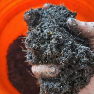 Fungstrate mushroom substrate