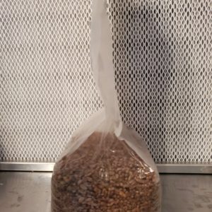 Theez Grains sterilized grains