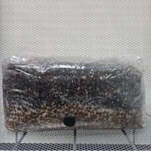 All in Fung Grow Bag